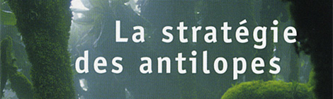 La stratégie des antilopes, Jean Hatzfeld (2007)